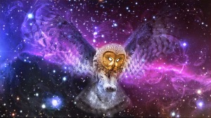 Wings of possibility owl