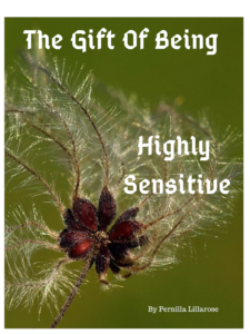 Gift Of Highly Sensitive